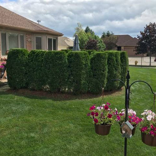 landscaping rochester mi